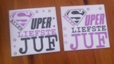 2018015 Tegel super liefste juf