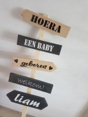 wegwijzer 5 pijlen/pank wegwijzer